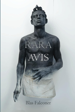 Rara Avis cover